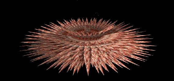 urchin.JPG
